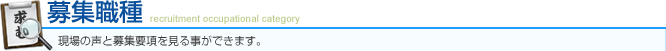 募集職種
