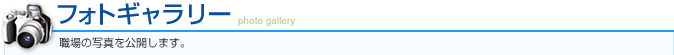フォトギャラリー